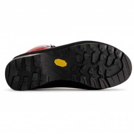 La Sportiva New Zealand Light Grey Berry Women's Trango Tower Gtx