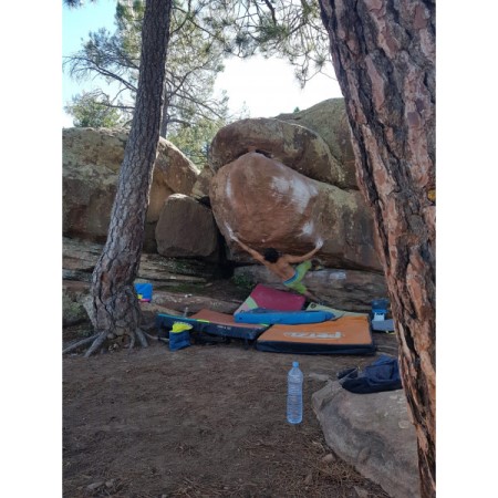 Speedster La Sportiva New Zealand Lime Yellow