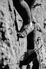 La Sportiva New Zealand Aqua Aqua Green Women's Mythos - Image 3