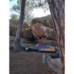 Speedster La Sportiva New Zealand Lime Yellow - Image 3