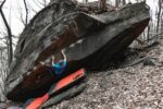 Speedster La Sportiva New Zealand Lime Yellow - Image 4
